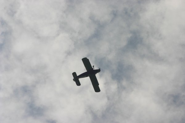 img-0497.jpeg